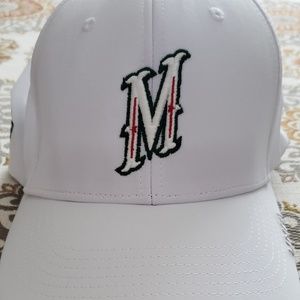 Minnesota Wild Hat